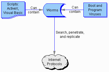 Worms -- Types and Habitats